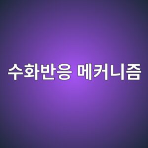 ec8898ed9994ebb098ec9d91 eba994ecbba4eb8b88eca698 1786069443